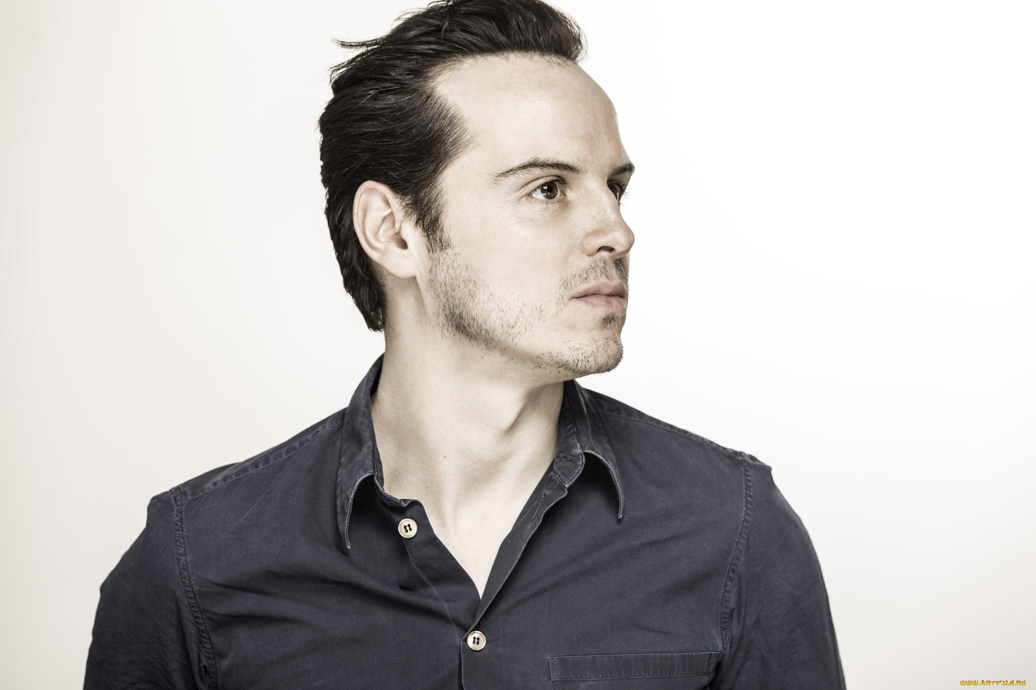 , andrew scott, andrew, scott